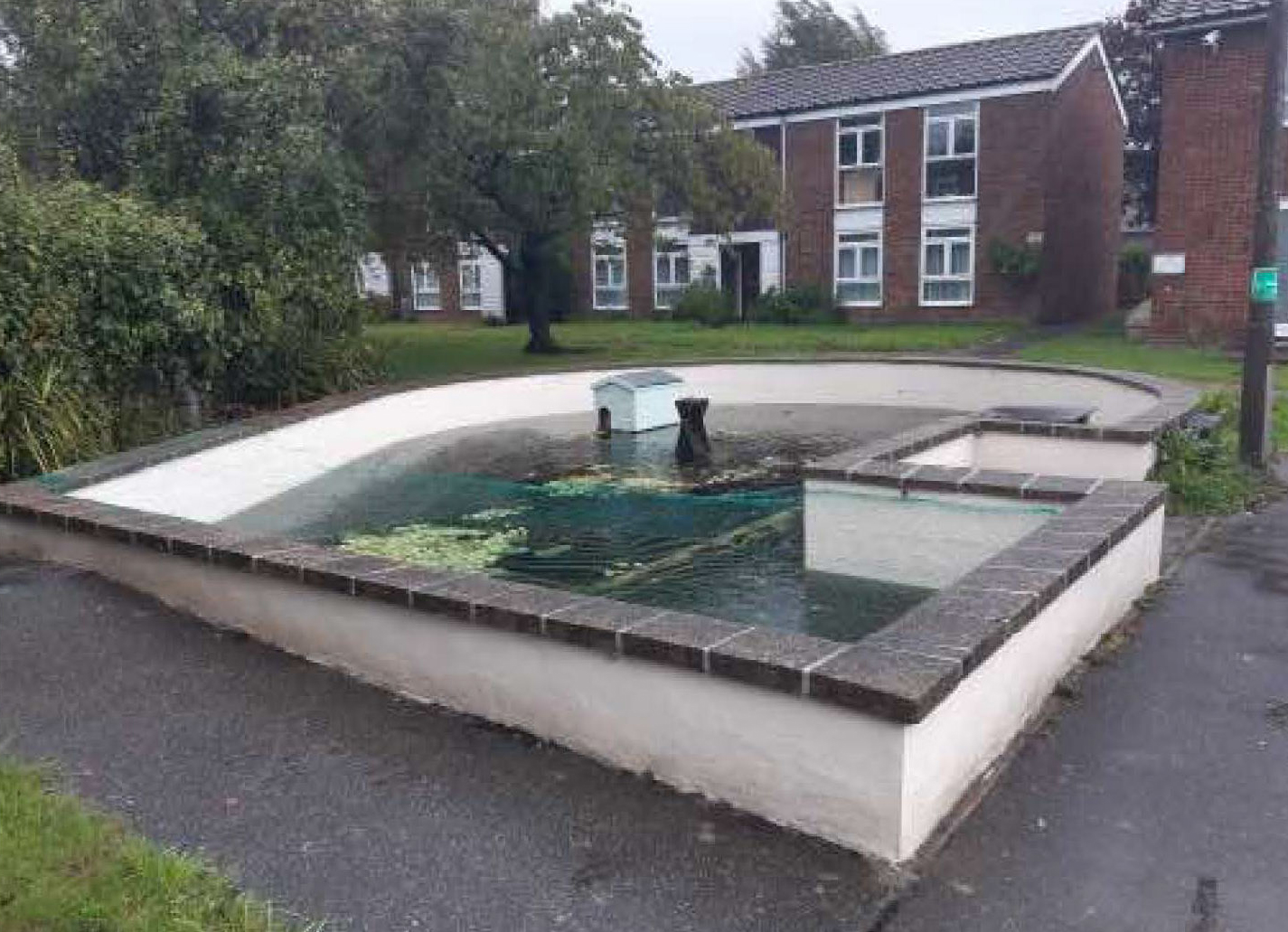 Duck pond with flats block in background